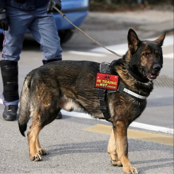 Service Dog Patch Set 9 pcs dog patches for harness in different styles - Picture 7 of 7